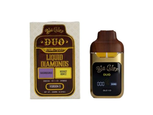 Big Chief Duo V3 Disposable 2G