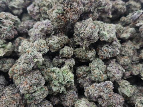 Bubble Gum Runts