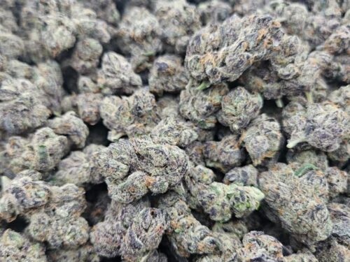 Hawaiian Runts