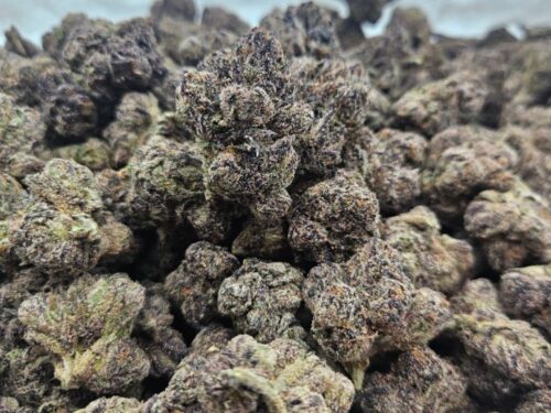 Lemon Cherry Gelato