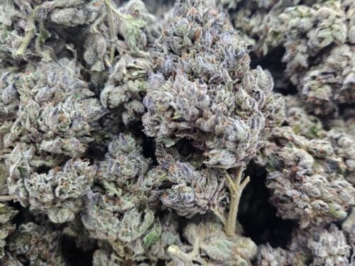 Sour Power