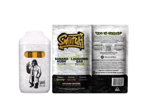 Swiitch 2G Disposable 2000mg Premium Vape